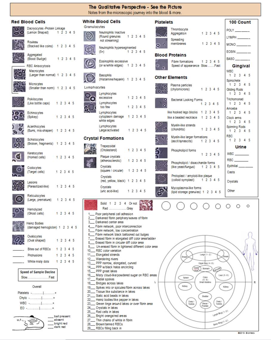 A Look at the Flow Data Sheet