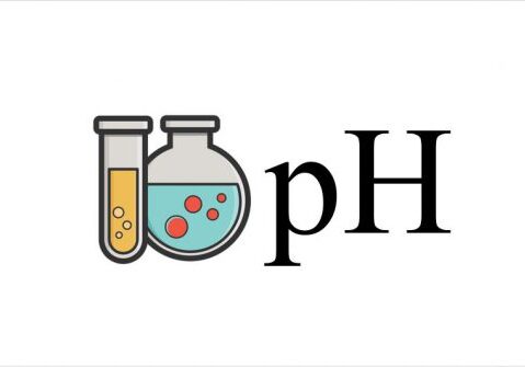 blog-ph-equation-in-health